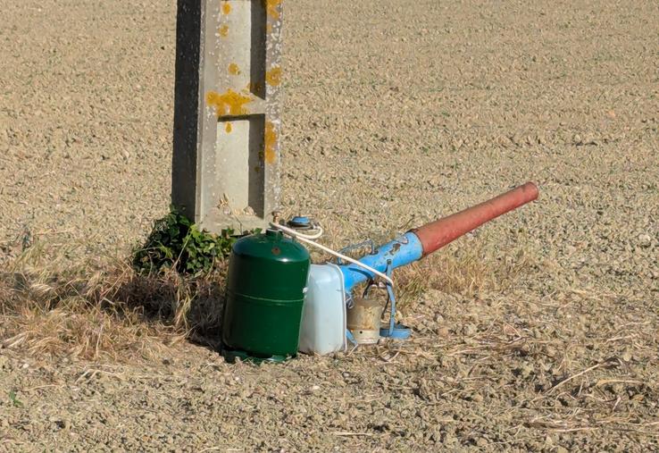 Les canons à gaz sont autorisés tous les jours de la semaine, de l'heure du lever du soleil jusqu'à l'heure du coucher.