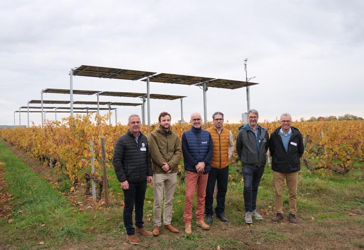 Les partenaires du projet Vitivolt : Xavier Besson (LDDV), James Ronsin-Coumel (Altarea énergies renouvelables), Bertrand Pinel, chef de projet Vitivolt (Terrena Innovation), David Grellier (domaine Château la Varière), Jean-Philippe Priarollo (Terrena Energies).