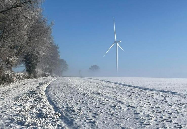 Sur l'exploitation de Clément Traineau, à Neuvy-en-Mauges.