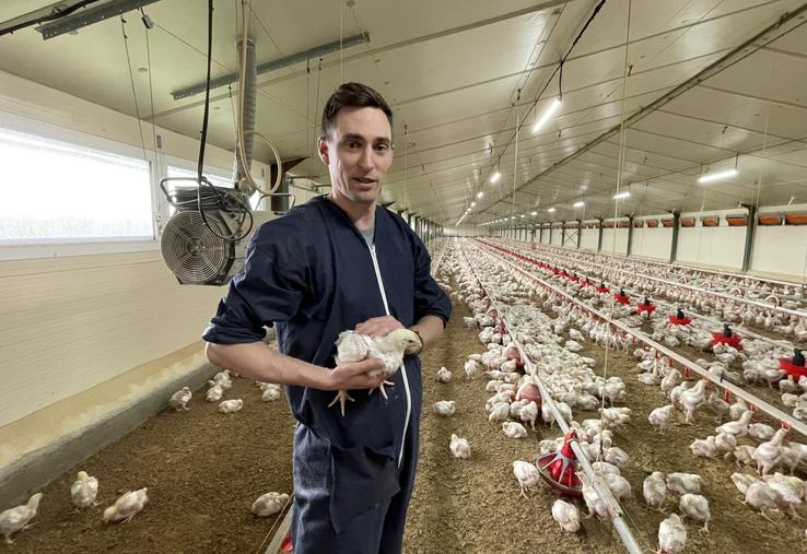 Valentin Breget produit près de 400 000 poulets à l'année pour l'organisation de production sarthoise Alimab. Ici, avec un lot de 18 jours. 