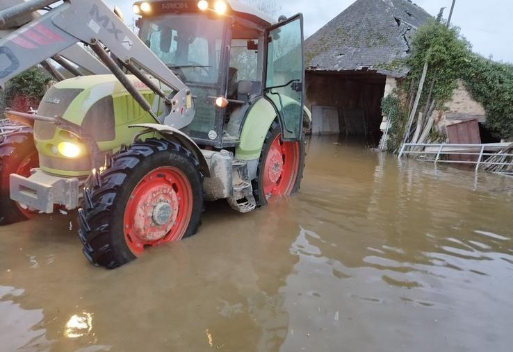 Évacuer le matériel, comme chez Bruno Terrien à Montreuil-Juigné, ou encore les animaux comme à Chalonnes, et livrer son lait en barque :  les conséquences de la crue sont multiples pour les agriculteurs.