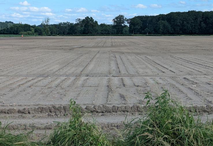 Dans le secteur de Bauné, l'orage du samedi 30 mai a provoqué de nombreux dégâts sur les cultures, y compris potagères, ainsi que des coulées de boue.